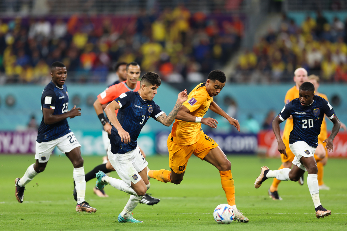 荷兰队以小组第一出线,期待更多胜利 荷兰队以小组第一出线,期待更多胜利