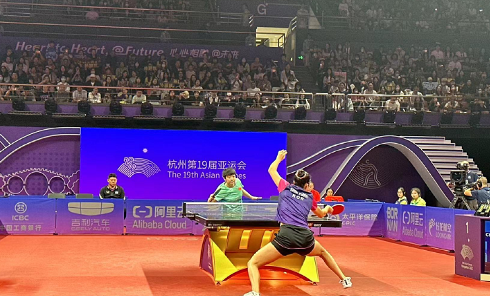 IM体育数据分析平台-丹麦队横扫日本队，马琳带队取胜