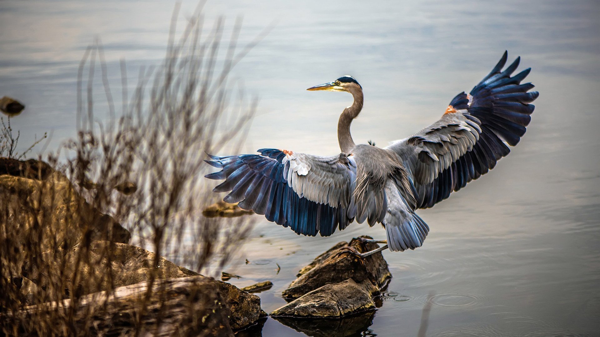 IM体育社区互动入口-东决关键战之夜，恩佐彻底打爆防线，一场注定载入史册的表演